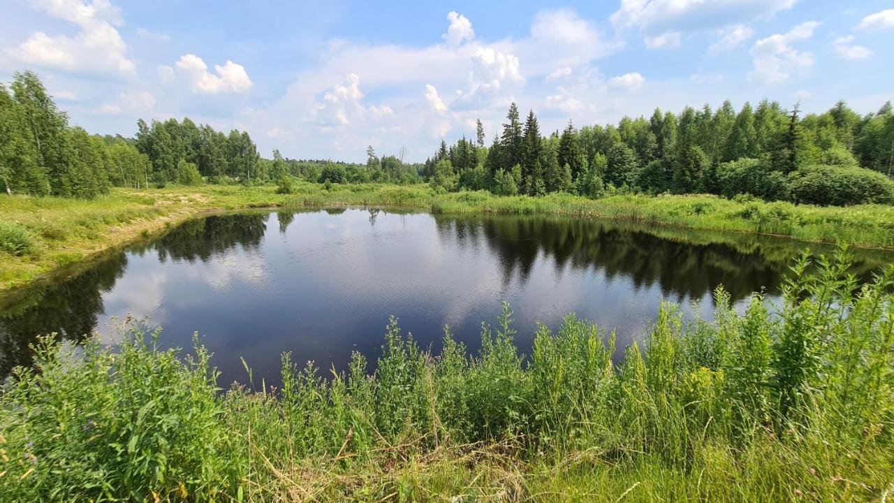 Novinki Park Vendégház Danki Kültér fotó