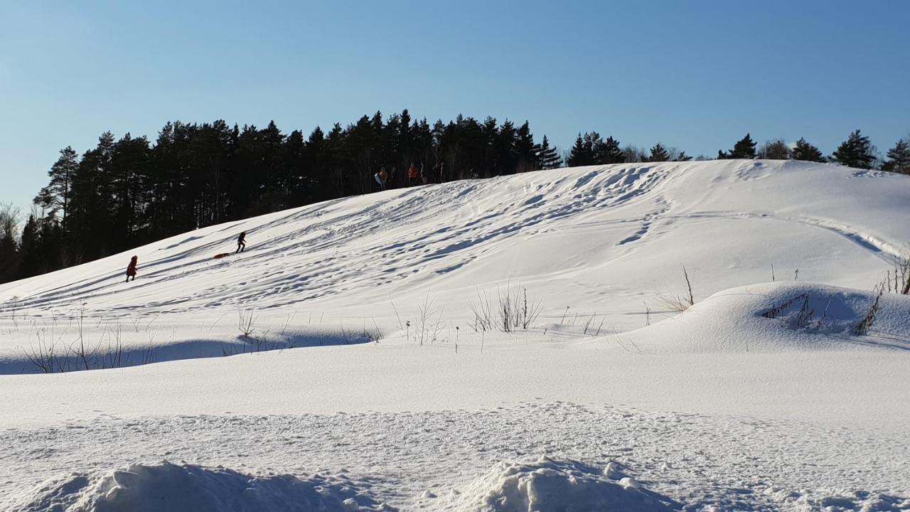 Novinki Park Vendégház Danki Kültér fotó