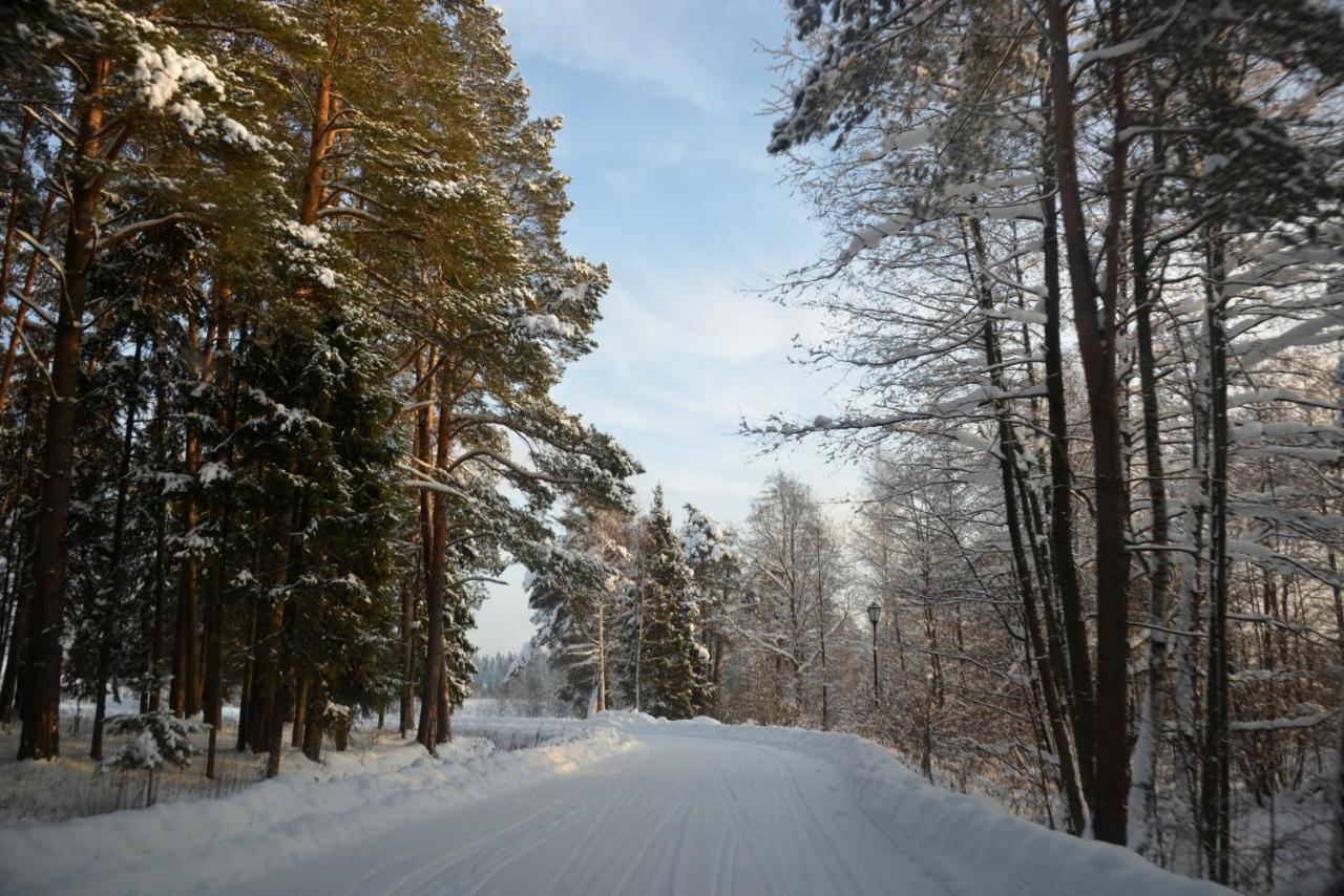 Novinki Park Vendégház Danki Kültér fotó